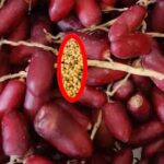 Dates Laddu Magic