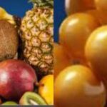 Vitamin B17 Fruits