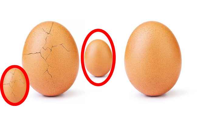Egg Freezing Guide