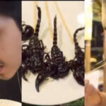 Ahaan Pandey Eating Scorpion
