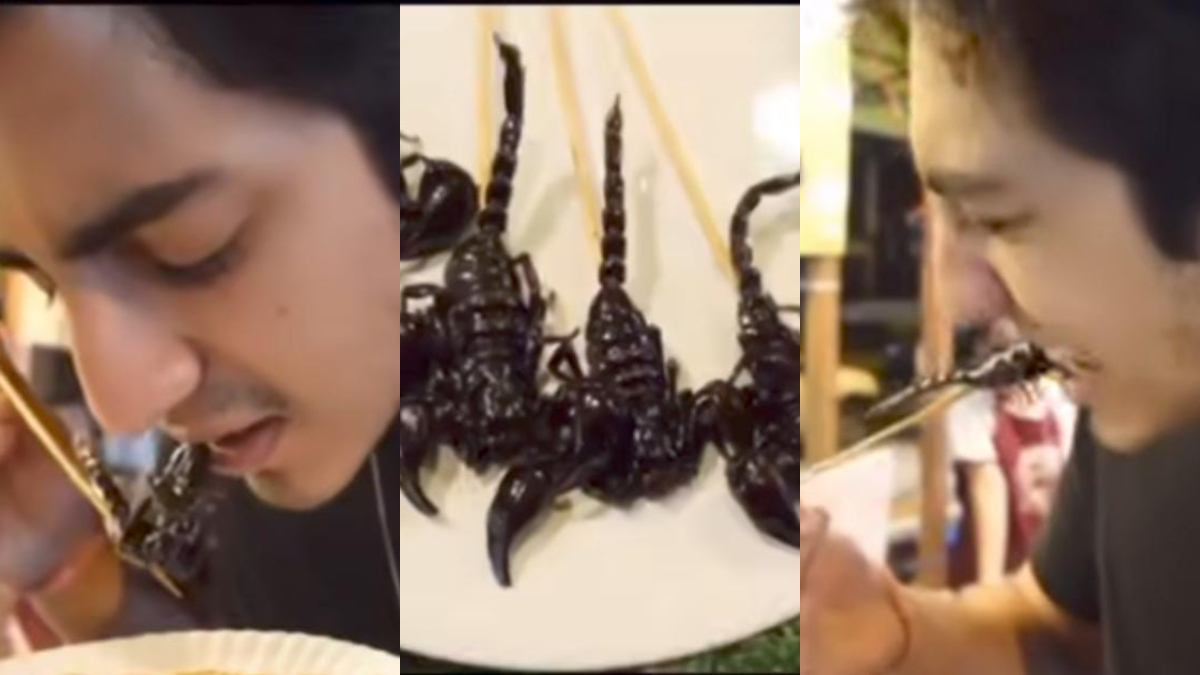 Ahaan Pandey Eating Scorpion