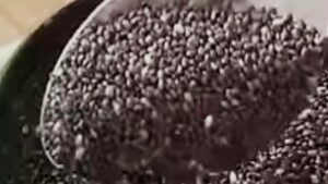 Chia Seeds Glow