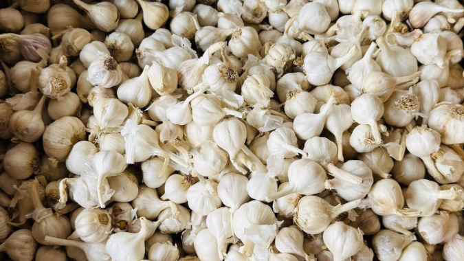 Garlic Power Unleashed