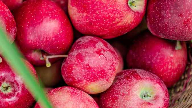 Detox Your Kidneys