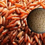 Best Rice for Weight Loss