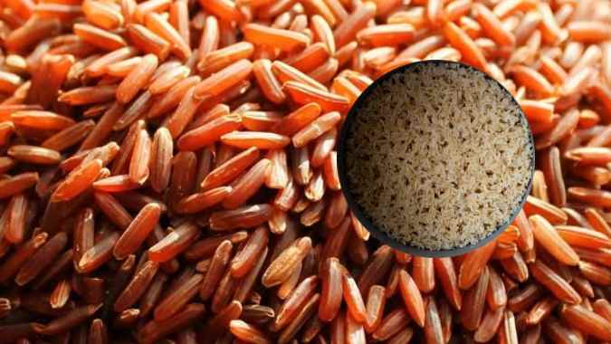 Best Rice for Weight Loss