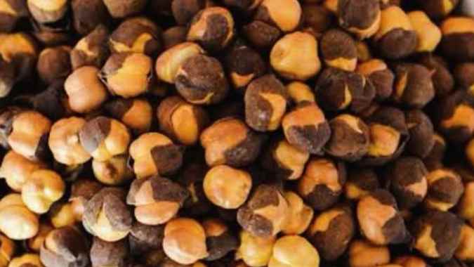 Healthy Snacks for Weight Loss