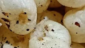 High-Protein Makhana Chaat