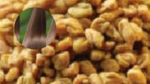 Methi Water for Hair Care