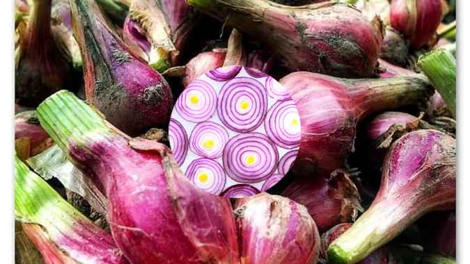 Onion Breath Solutions