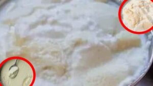 Creamy Curd Hacks