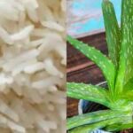 Home Made Glowing Skin Face Mask