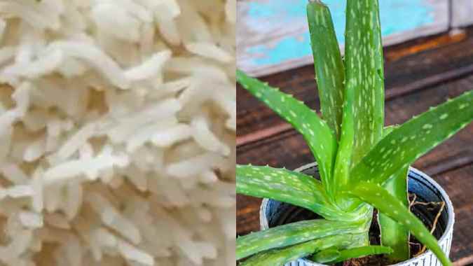 Home Made Glowing Skin Face Mask