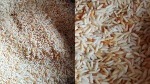 Rice Flour for Skin